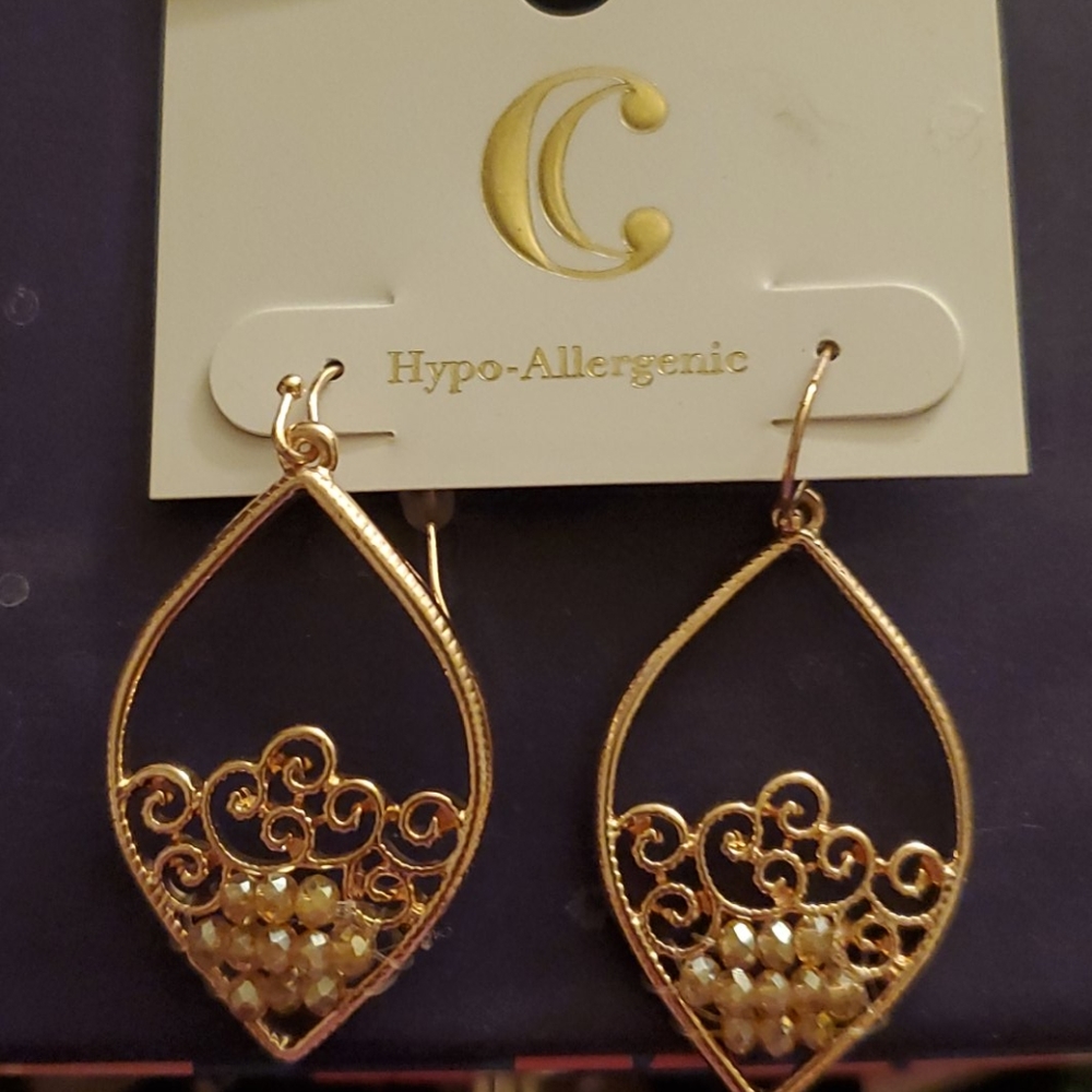🌹Rose Gold tonefishhook crystal earrings